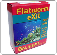 Flatworm Exit